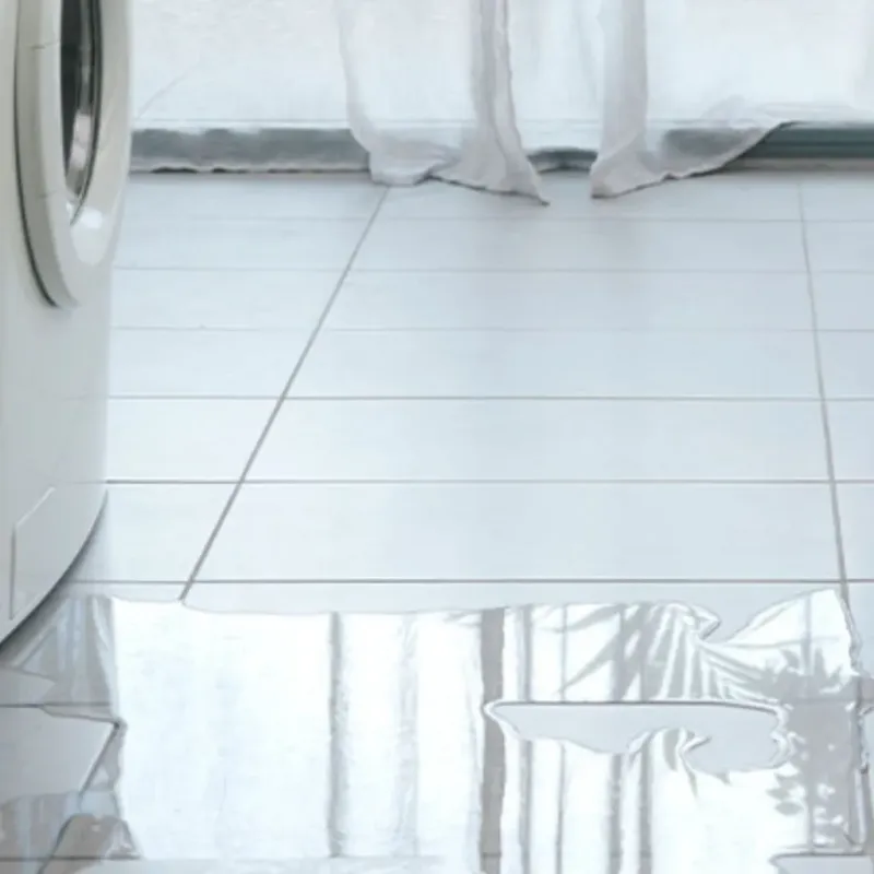 Appliance Leak Cleanup in Seattle, WA